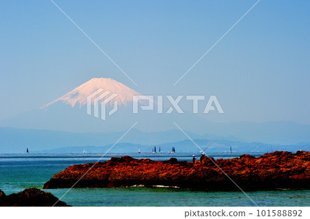 Akiya Scenery of Mt.Fuji seen from Tateishi Park Akiya Scenery of Mt.Fuji seen from Tateishi Park 101588892