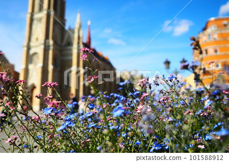 Freedom Square Novi Sad Serbia April 30 2022 People walk along the street. Pink and blue forget-me-not flowers grow in a flower bed. The Name of Mary Church, Roman Catholic parish church in Novi Sad 101588912