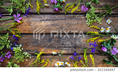 Multicolored wildflowers are arranged in a circle on a wooden table background. Chamomile, sweet clover, wild geranium, bluebells, parsley inflorescences. Horizontal boards. Romantic Provence style 101588947