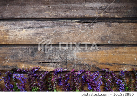 Lavender and sage flowers on a wooden table close-up. Horizontal planks of dark old wood with purple and blue flowers and leaves around the edges. Still life and flat lay. Free copy space for text Lavender and sage flowers on a wooden table close-up. Horizontal planks of dark old wood with purple and blue flowers and leaves around the edges. Still life and flat lay. Free copy space for text 101588990