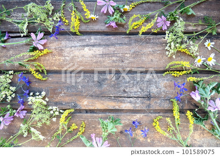 Multicolored wildflowers are arranged in a circle on a wooden table background. Chamomile, sweet clover, wild geranium, bluebells, parsley inflorescences. Horizontal boards. Romantic Provence style Multicolored wildflowers are arranged in a circle on a wooden table background. Chamomile, sweet clover, wild geranium, bluebells, parsley inflorescences. Horizontal boards. Romantic Provence style 101589075
