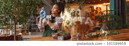 Professional woman florist examines seedlings in floral studio. Gardening concept 101589959