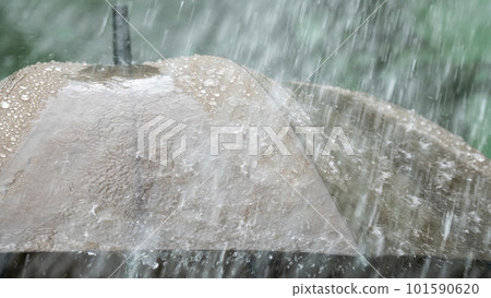 Image of rainy season and heavy rain 101590620