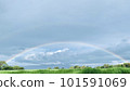 rainbow over meadow 101591069