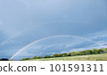 A rainbow over the forest from the foot of the city 101591311