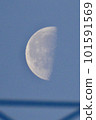 The waning moon seen above the electric wires in the early morning 101591569