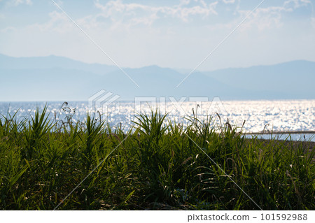Glittery Lake Biwa 101592988