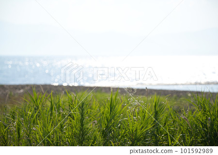 Glittery Lake Biwa 101592989
