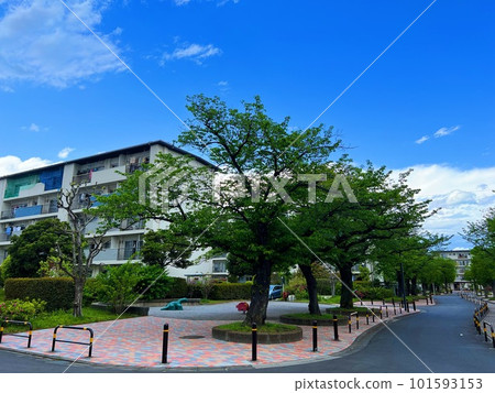 清新的藍天住宅區 清新的藍天住宅區 101593153