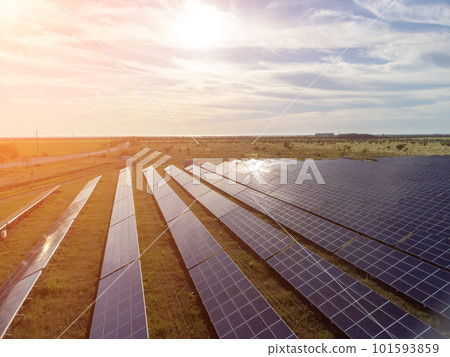 Aerial top view of a solar panels power plant. Photovoltaic solar panels at sunrise and sunset in countryside from above. Modern technology, climate care, earth saving, renewable energy concept. 101593859