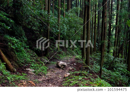 瀧稻滝齋社神社岩屋權現洞窟路 瀧稻滝齋社神社岩屋權現洞窟路 101594475