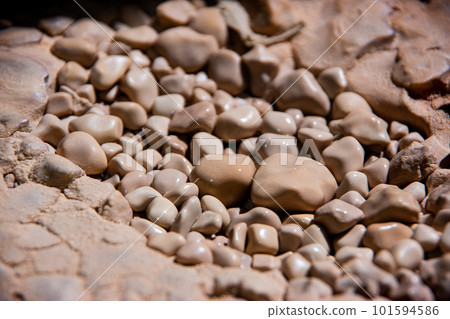 Cave Pearl 101594586