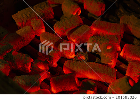 Burning charcoal roaster 101595026