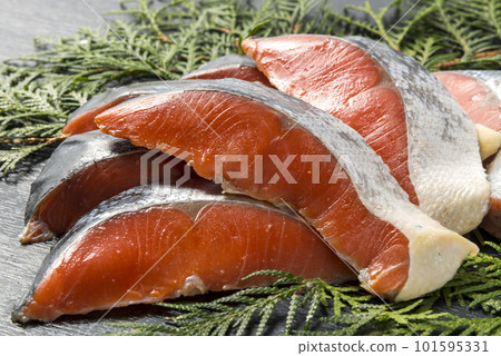 fresh salmon fillet 101595331