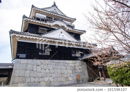 松山城樓(愛媛縣) 松山城樓(愛媛縣) 101596107