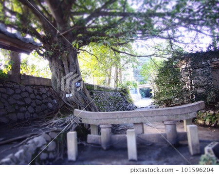 黑神神社埋葬鳥居（鹿兒島市櫻島） 101596204