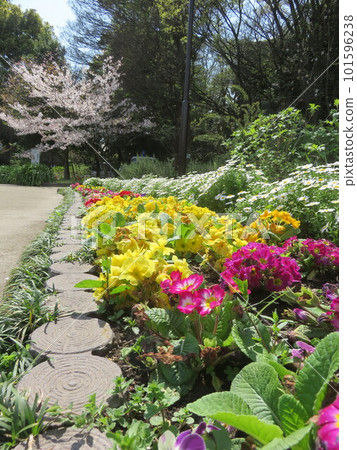 五顏六色的花圃在有很多花的公園 五顏六色的花圃在有很多花的公園 101596238