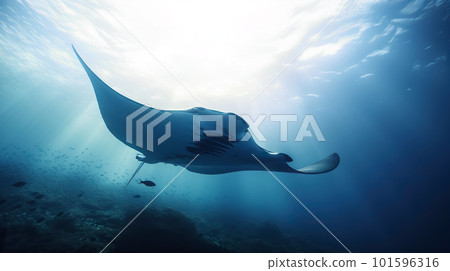 Menta ray in indian ocean, generative AI, AI generated 101596316