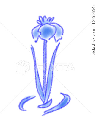 水彩畫的睡蓮 101596543