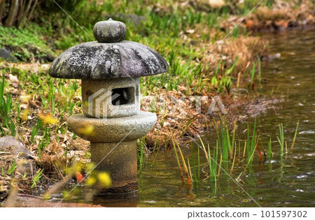 池塘里的小燈籠 101597302