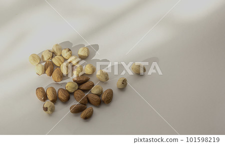 Different nuts on a white background, space for text Different nuts on a white background, space for text 101598219