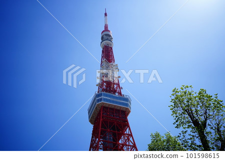 東京塔(芝公園)在晴空升起 東京塔(芝公園)在晴空升起 101598615