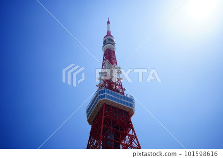 東京塔(芝公園)在晴空升起 東京塔(芝公園)在晴空升起 101598616