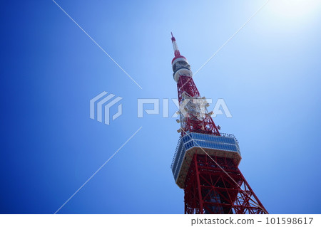 東京塔(芝公園)在晴空升起 東京塔(芝公園)在晴空升起 101598617