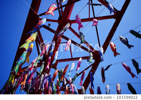 鯉魚旗(鯉魚旗)在晴空聳立的東京塔腳下游泳 鯉魚旗(鯉魚旗)在晴空聳立的東京塔腳下游泳 101599022