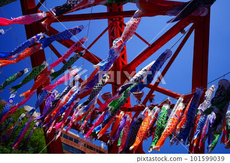 Carp streamers (carp streamers) swimming at the foot of Tokyo Tower towering in the clear sky 101599039