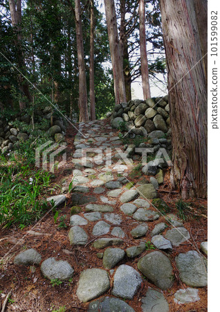 Stone pavement of Okochi Castle 101599082