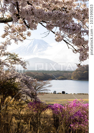 櫻花的風景 櫻花的風景 101599083