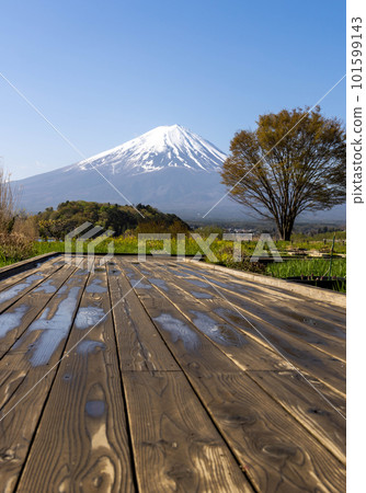 Mount Fuji Mount Fuji 101599143