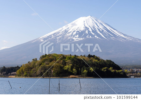 Mount Fuji Mount Fuji 101599144