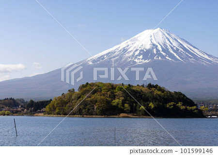 Mount Fuji  101599146