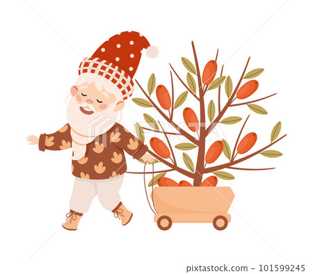 Cute bearded gnome pulling wheelbarrow with branch of sea buckthorn cartoon vector illustration Cute bearded gnome pulling wheelbarrow with branch of sea buckthorn cartoon vector illustration 101599245