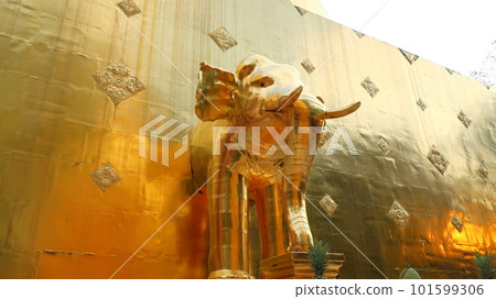 Chiang Mai's famous tourist destination Wat Phra Singh Temple Golden Elephant 101599306