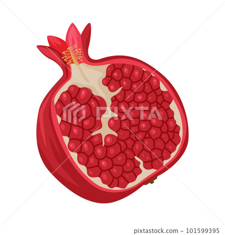 Red Pomegranate Fruit as Georgia Cultural Symbol and Country Attribute Vector Illustration Red Pomegranate Fruit as Georgia Cultural Symbol and Country Attribute Vector Illustration 101599395