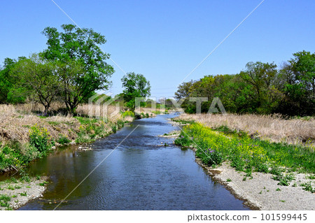 埼玉縣坂戶市郊外美麗的田園風光 埼玉縣坂戶市郊外美麗的田園風光 101599445