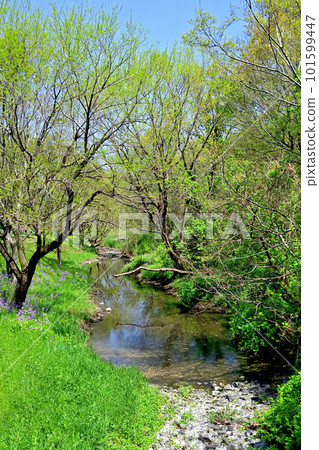 A beautiful rural landscape on the outskirts of Sakado City, Saitama Prefecture A beautiful rural landscape on the outskirts of Sakado City, Saitama Prefecture 101599447