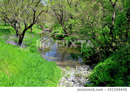 A beautiful rural landscape on the outskirts of Sakado City, Saitama Prefecture 101599448