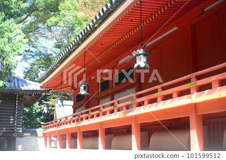 石清水八幡宮正殿走廊4 101599512