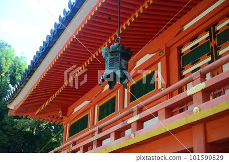 石清水八幡宮正殿走廊掛燈籠-5 101599829