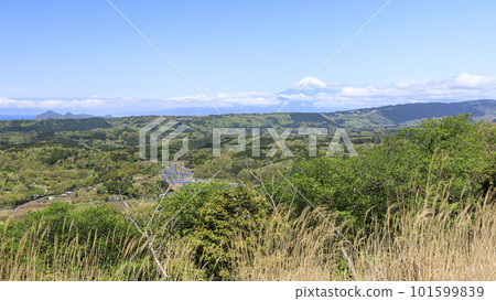 從須雲山停車場看到的富士山(春天) 從須雲山停車場看到的富士山(春天) 101599839