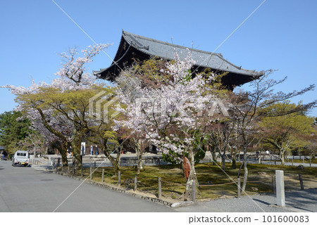 Spring Nanzenji Temple Sanmon, Sakyo-ku, Kyoto 101600083