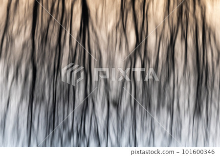 Tree reflections in the water of a flooded meadow at sunset. Tree reflections in the water of a flooded meadow at sunset. 101600346