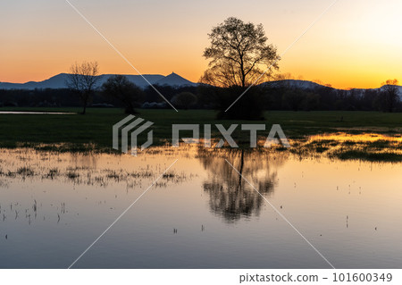 Flooded meadow at sunset with reflections in the water. 101600349