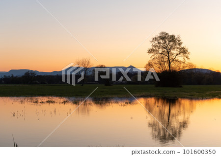 Flooded meadow at sunset with reflections in the water. 101600350