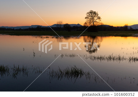 Flooded meadow at sunset with reflections in the water. 101600352