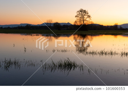 Flooded meadow at sunset with reflections in the water. 101600353